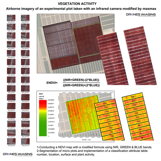 Indice de végétation NDVI