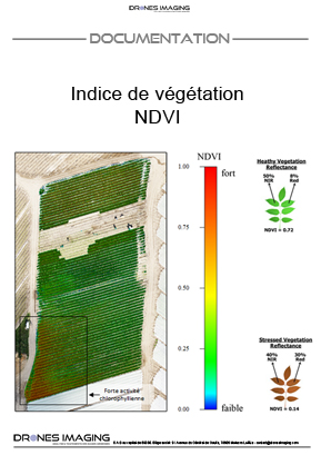 Indice_végétation_NDVI_Drones_Imaging©