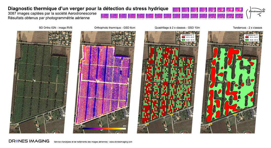 Water stress detection