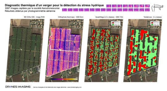 Thermographie et stress hydrique