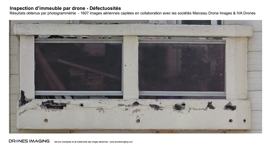 Pathologies détectées par drone