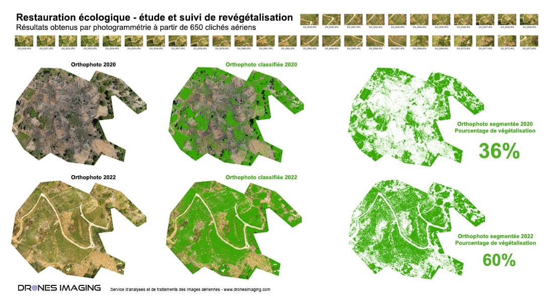 Ecological restoration