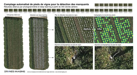 Détection de manquants