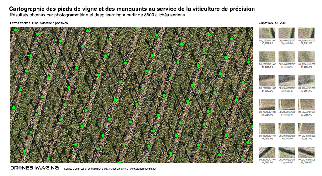 Géolocalisation de pieds de vigne