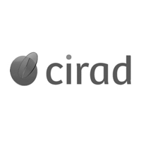 Cirad