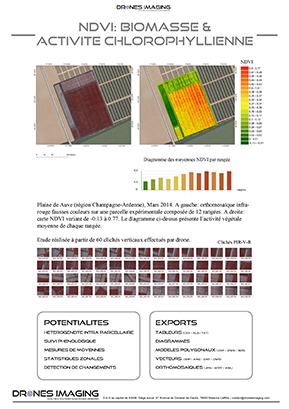 NDVI biomasse